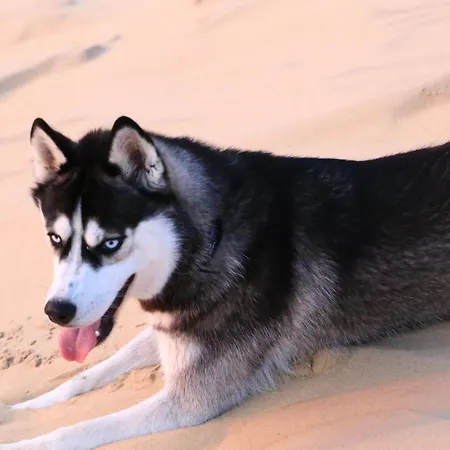 Bed To Rent - Maison Calme Avec Jacuzzi Sous Supplement Séjour chez l'habitant Bordeaux
