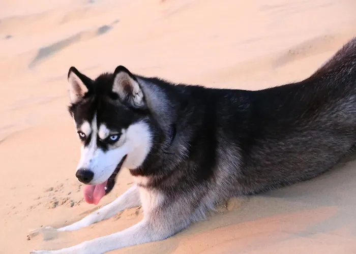 Bed To Rent - Maison Calme Avec Jacuzzi Sous Supplement Quarto em Acomodações Particulares Bordéus